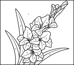 Gladiolus - Printable Color by Number Page