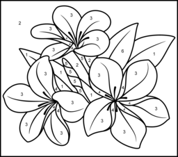 Tropical Flower - Online Color by Number Page